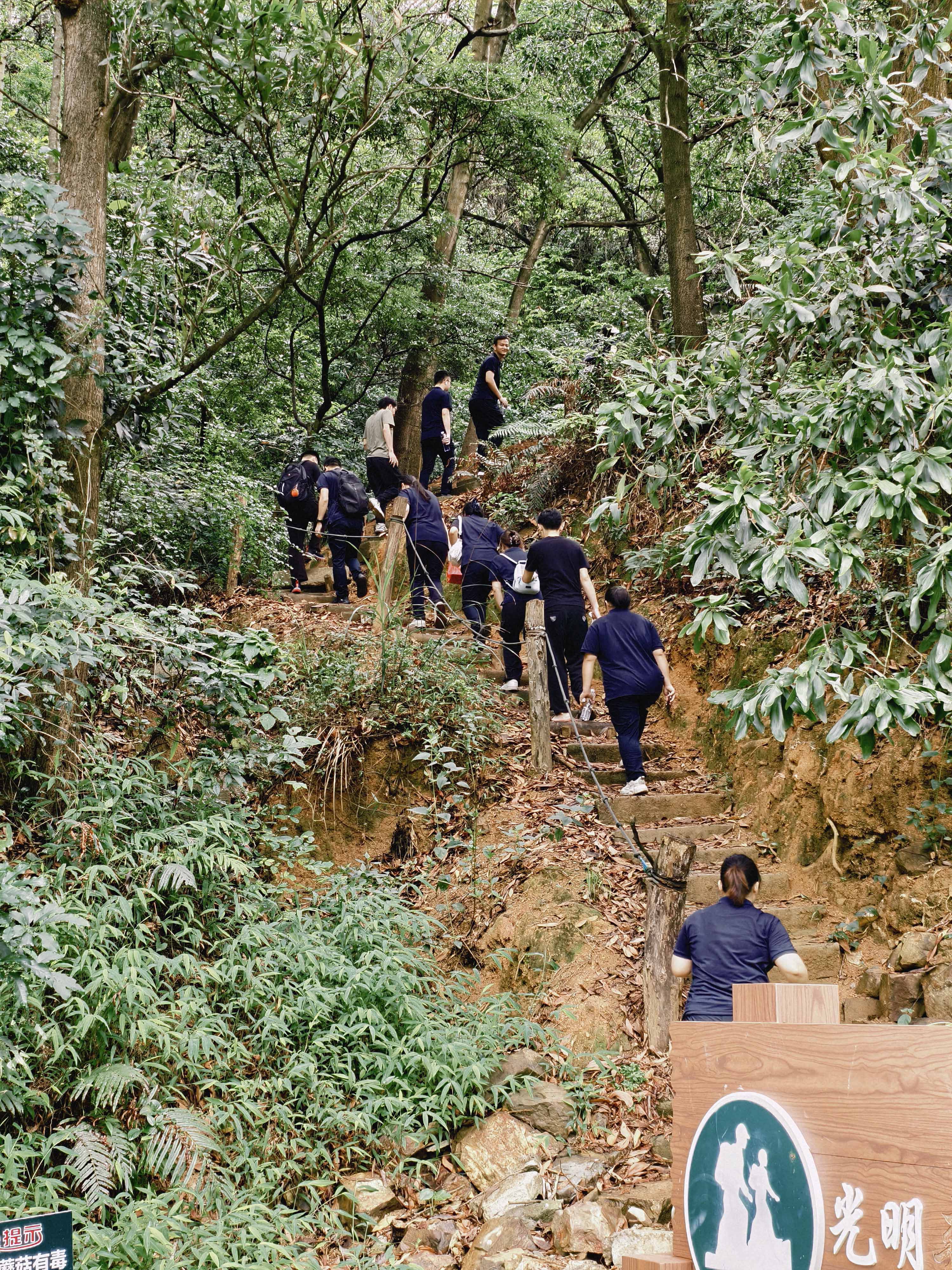 久信達科技公司員工齊聚光明區(qū)蠄蜍石，開啟活力爬山之旅暨團建活動(圖2)